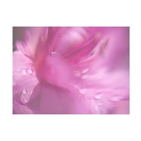 Illилијан Хант „срца во розова II“ платно уметност