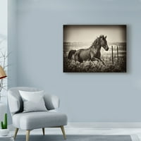 Трговска марка ликовна уметност „Тркање коњ“ платно уметност од Дејвид Дрост