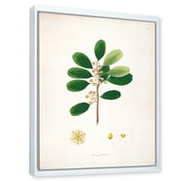Антички растенија во Лондон, врамени со сликање на платно уметничко печатење
